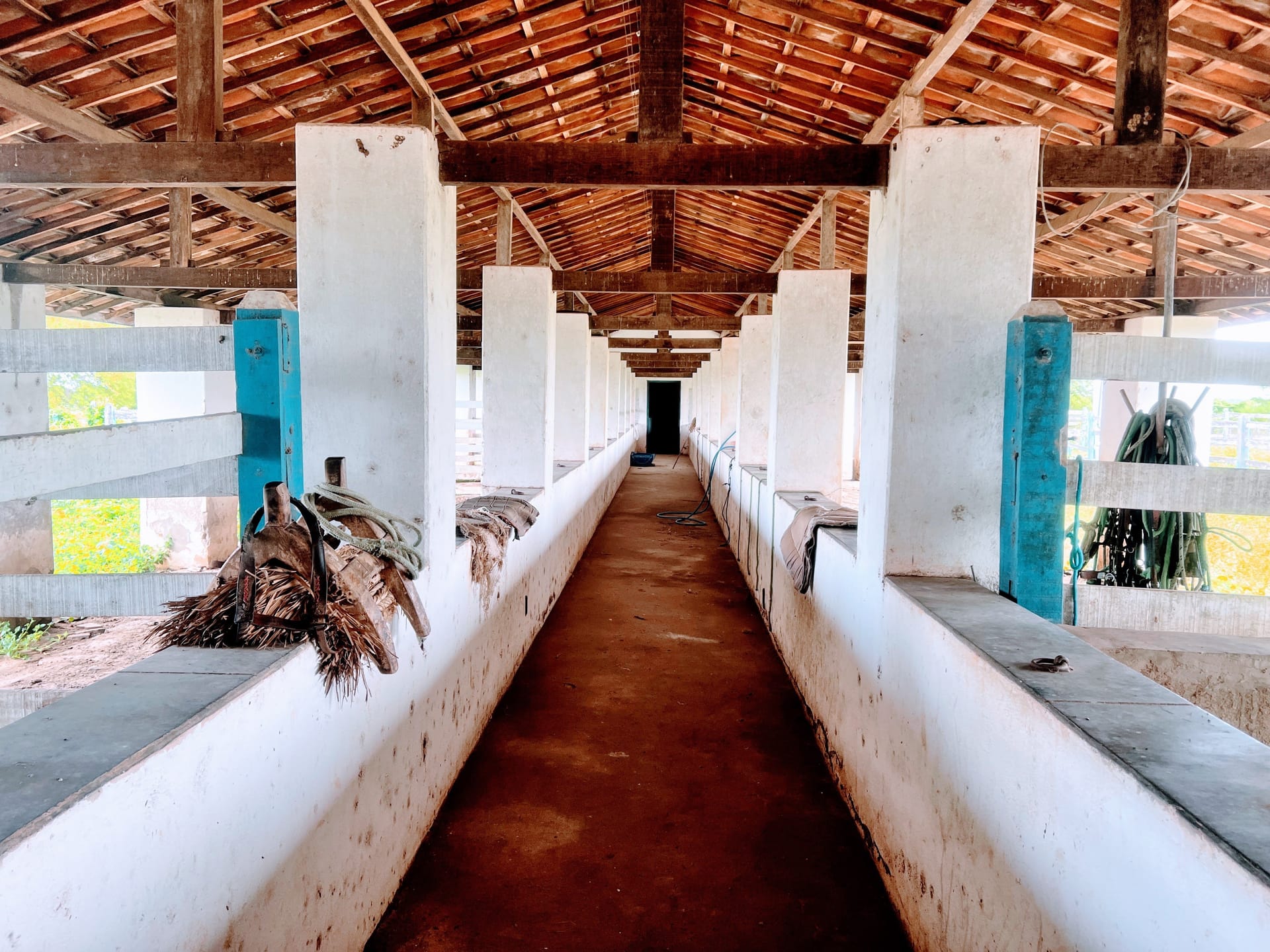 Sítio, 30 quartos, 320 hectares - Foto 31