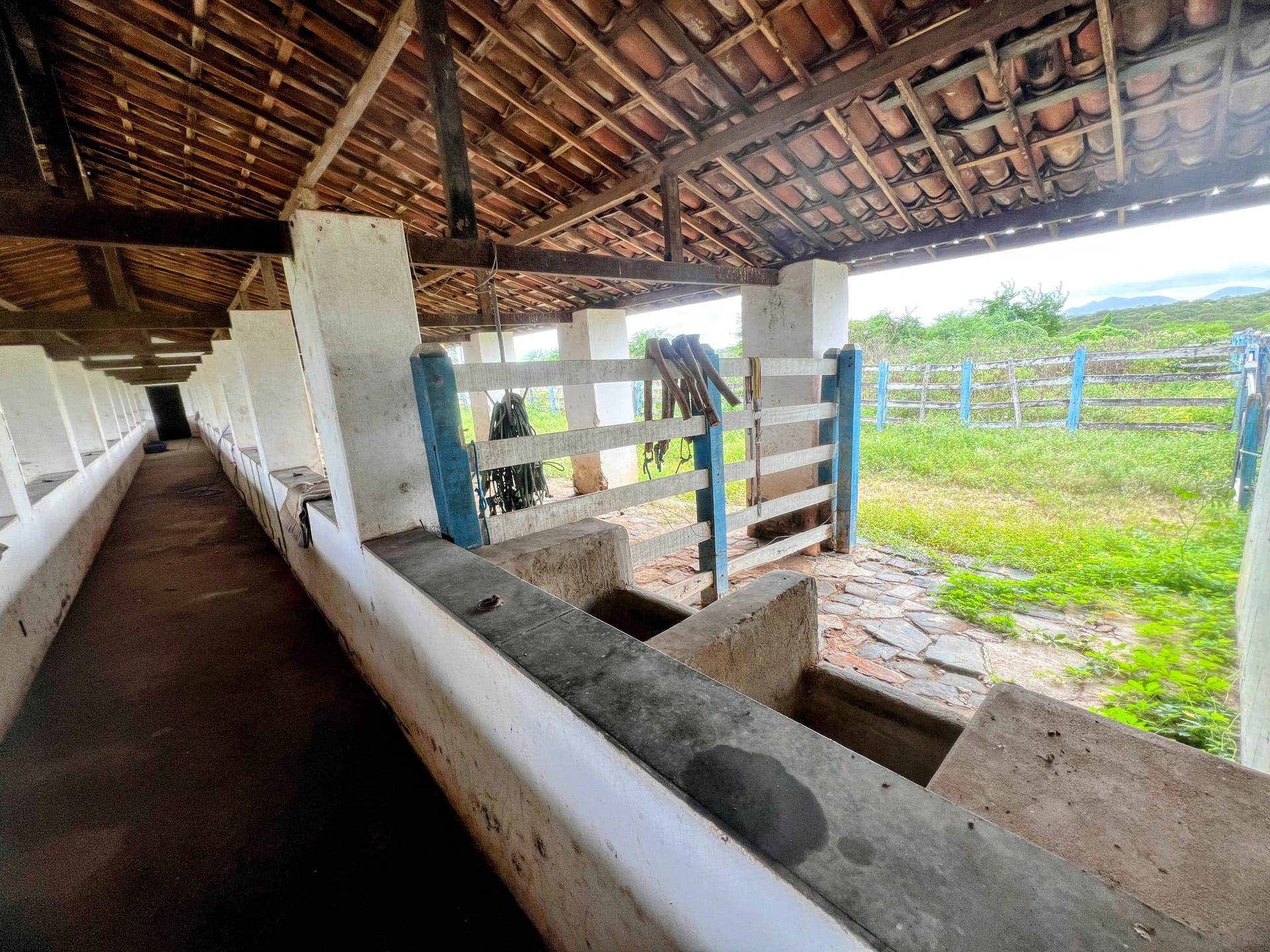 Sítio, 30 quartos, 320 hectares - Foto 36