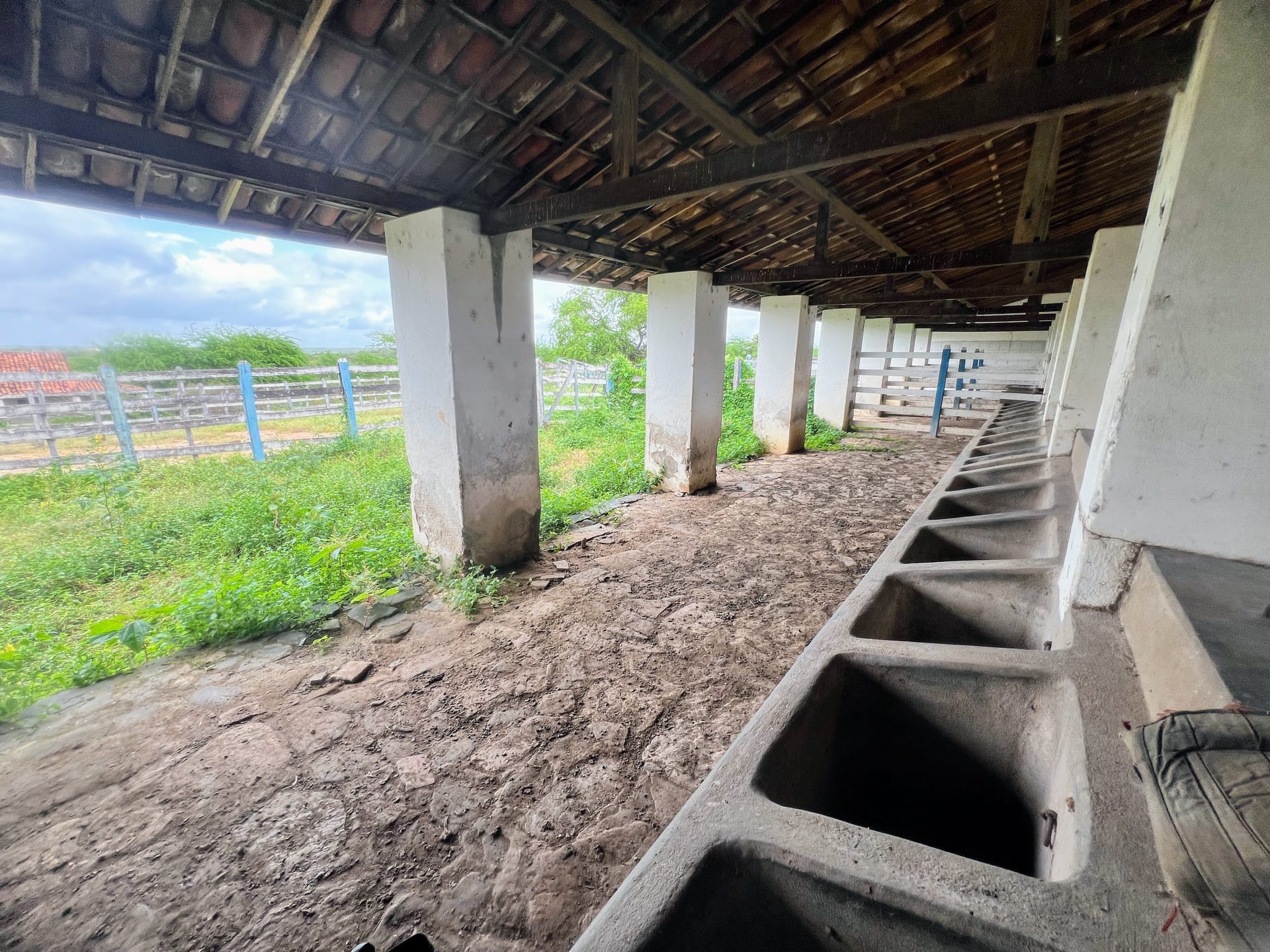Sítio, 30 quartos, 320 hectares - Foto 32