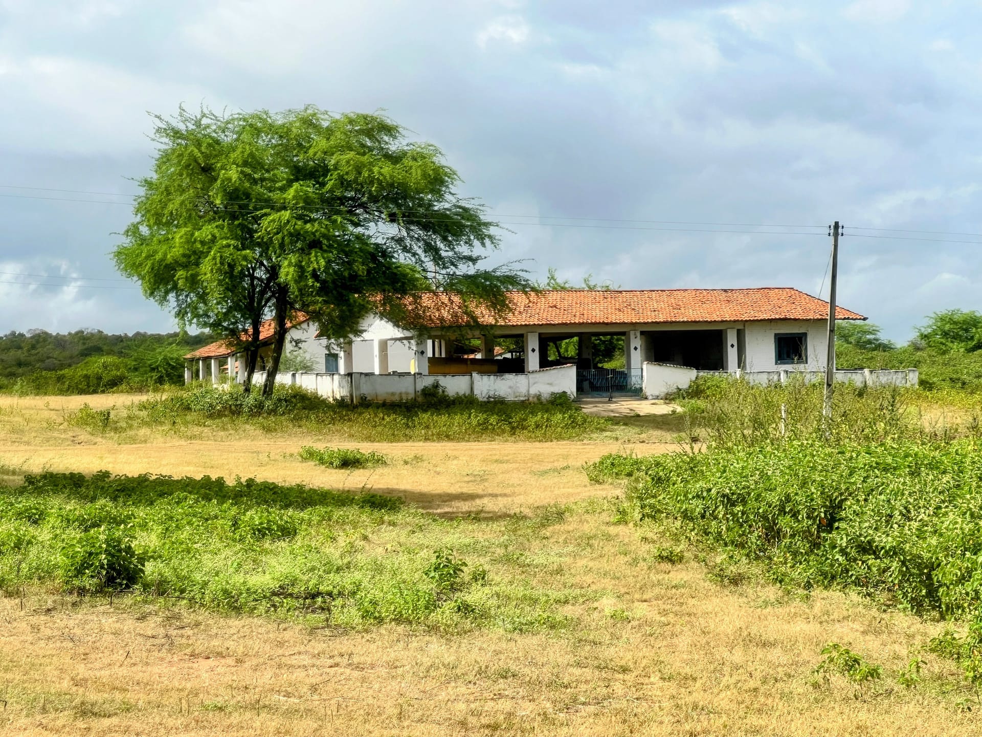 Sítio, 30 quartos, 320 hectares - Foto 39