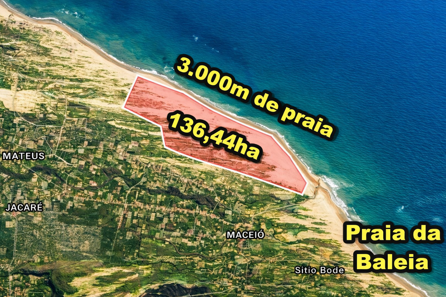 Terreno, 136 hectares - Foto 1