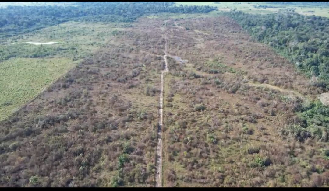 Terreno, 121 hectares - Foto 2