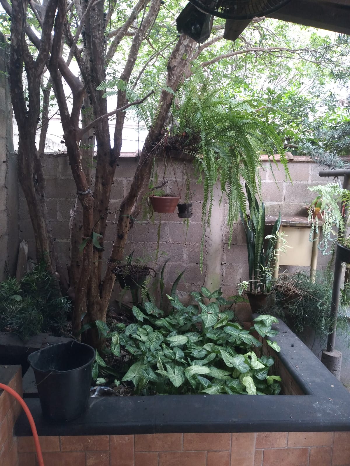 Casas à venda, ótima localização, Bonfim Paulista, Ribeirão Preto, SP