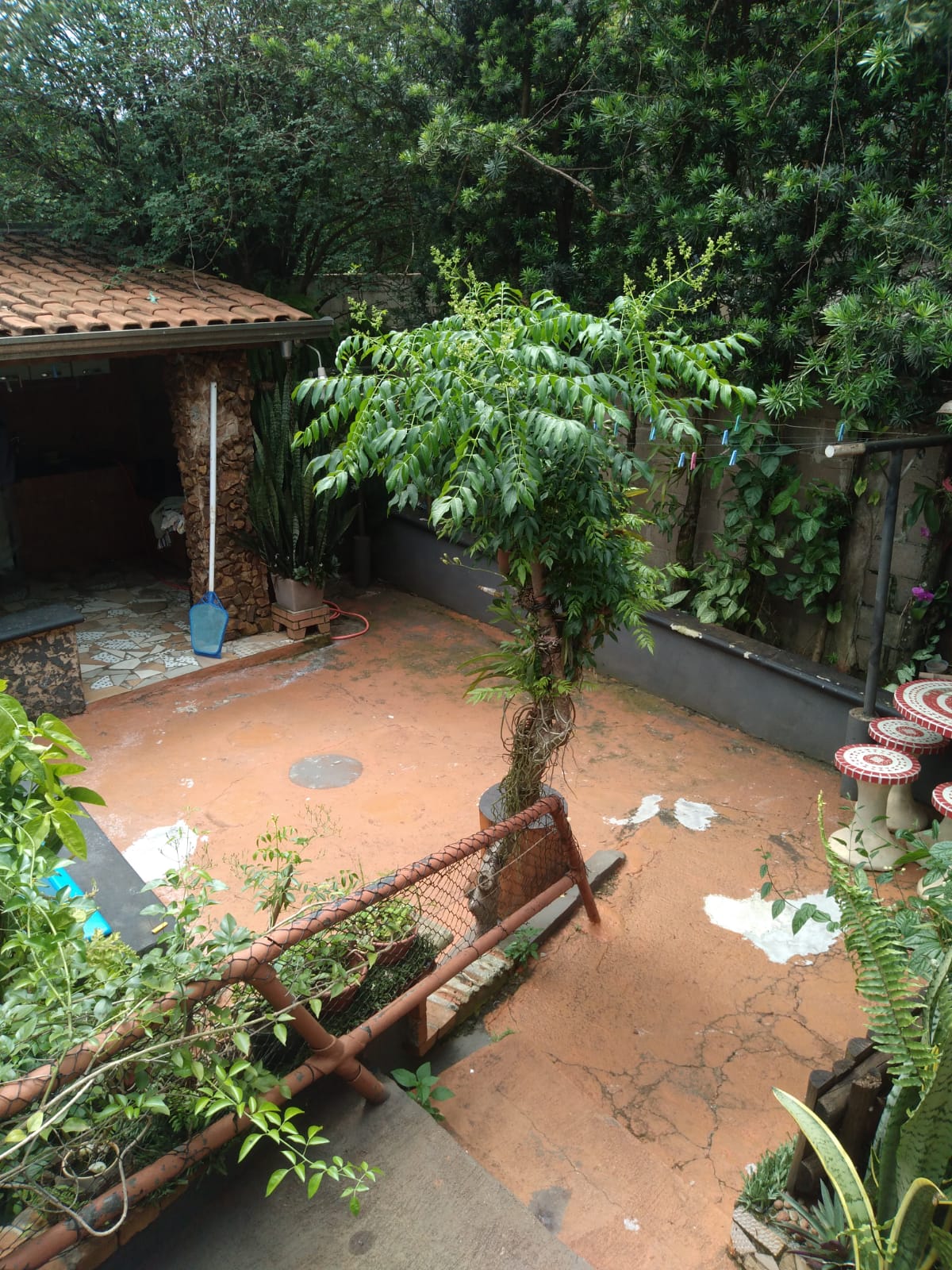 Casas à venda, ótima localização, Bonfim Paulista, Ribeirão Preto, SP