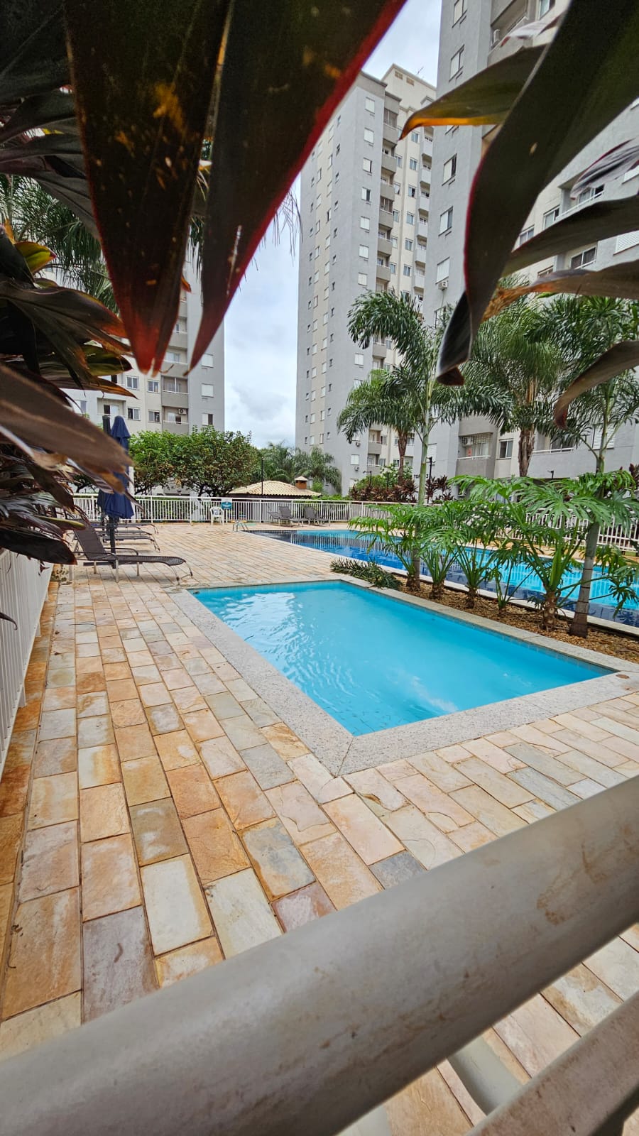 Apartamento - Venda, Campos Elíseos, Ribeirão Preto, SP