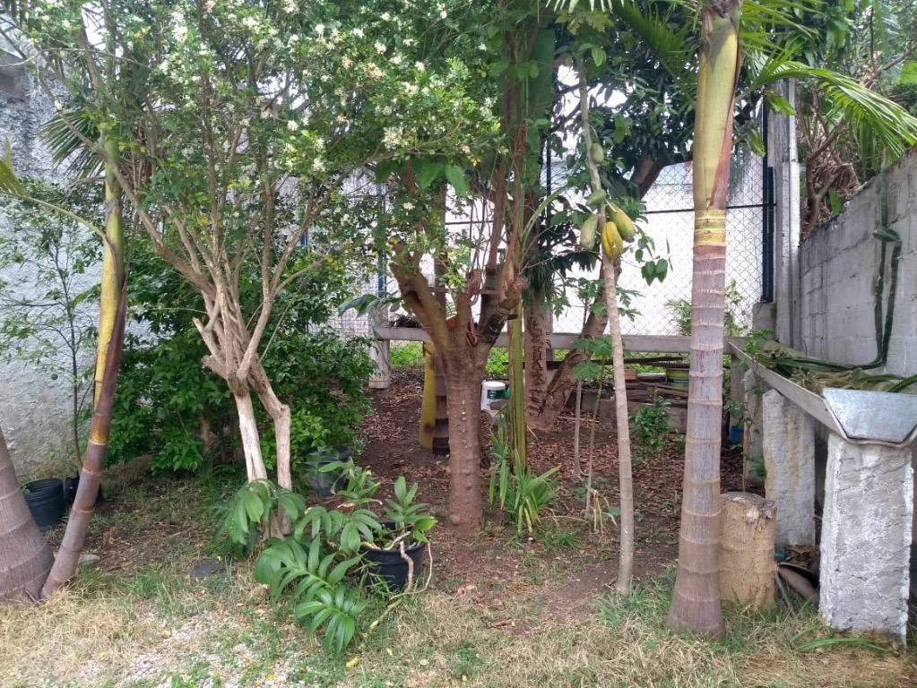 Casa - Venda, Vila Luzita, Santo André, SP