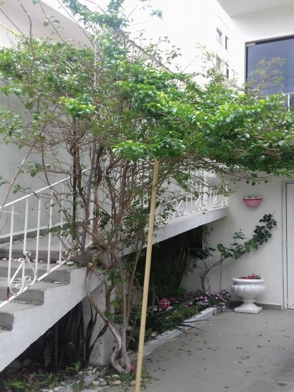 Sobrado - Venda, Campestre, Santo André, SP