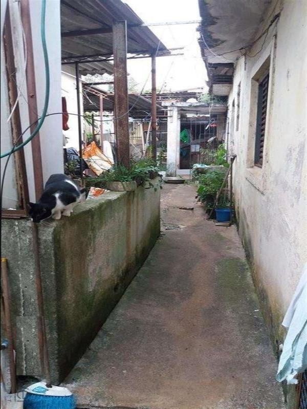Terreno - Venda, Vila Humaitá, Santo André, SP