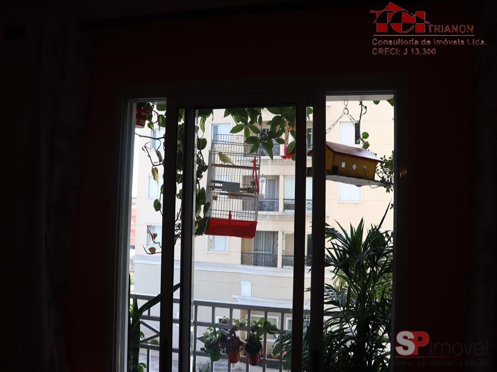 Apartamento - Venda, VILA PIRES, SANTO ANDRÉ, SP