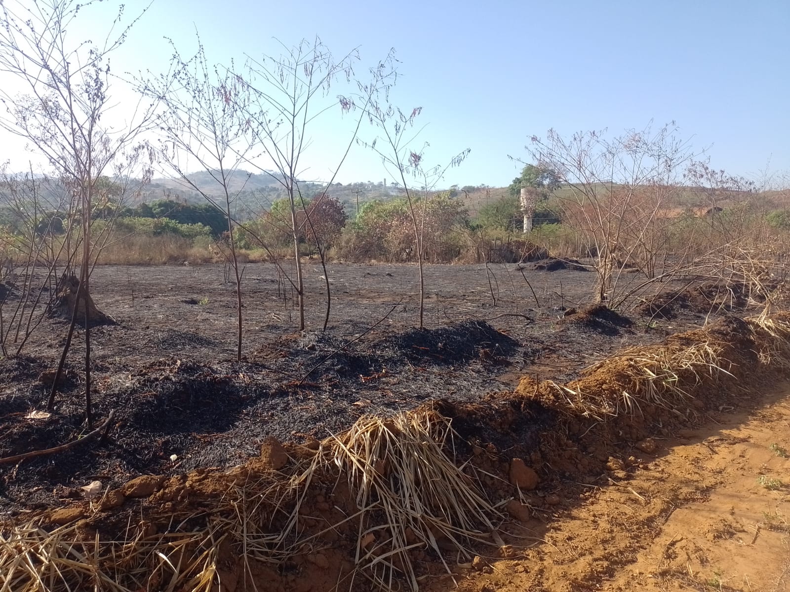 5 lotes no Santa luzia