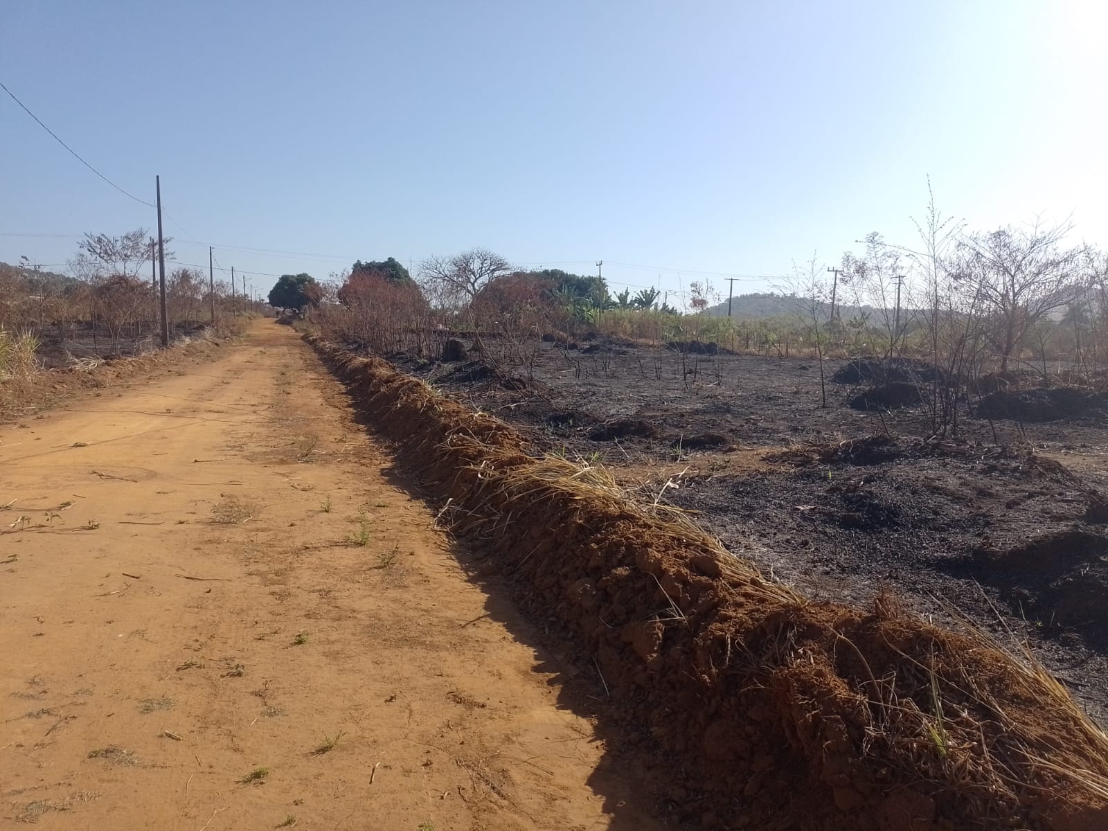 5 lotes no Santa luzia