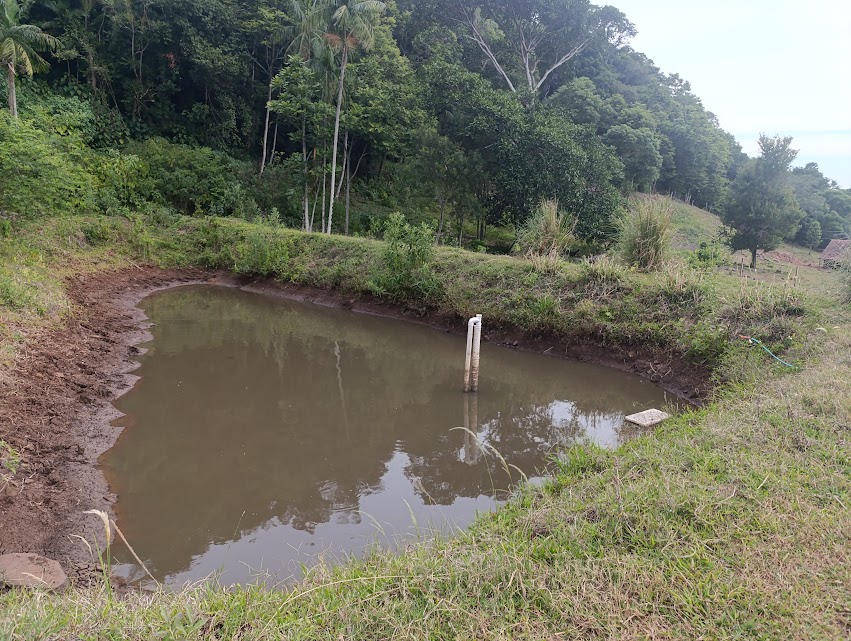  CHÁCARA 02 HECTARES COM BENFEITORIAS EM VERA CRUZ