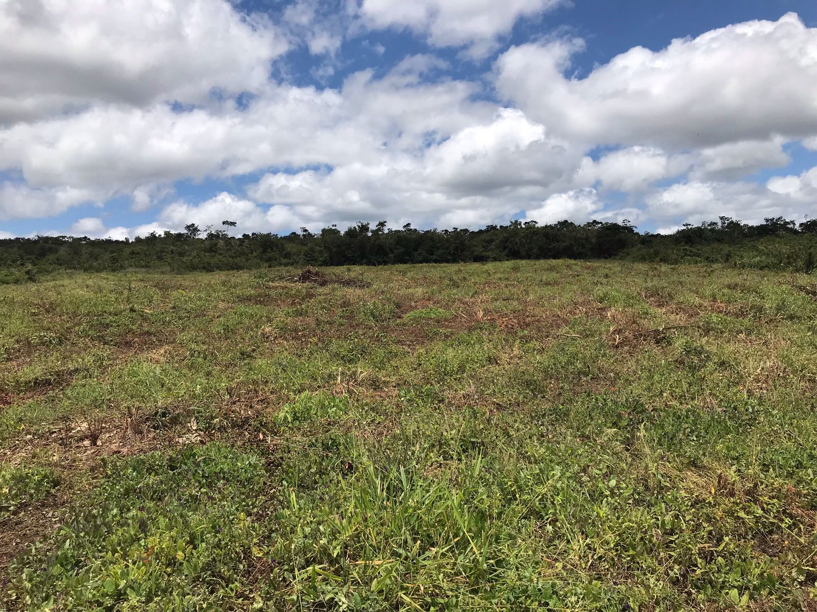 Chacará - Fazenda Argola