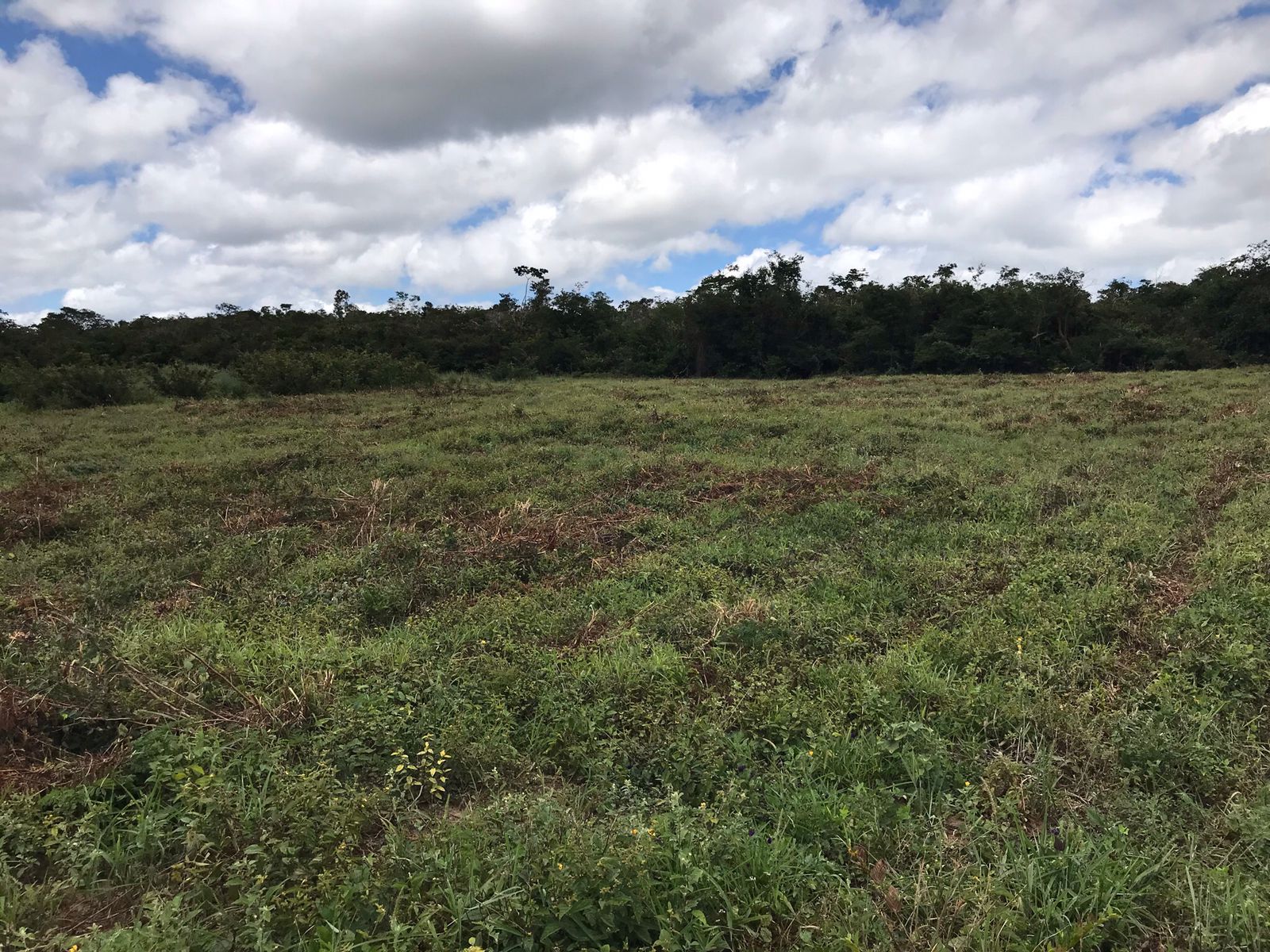 Chacará - Fazenda Argola