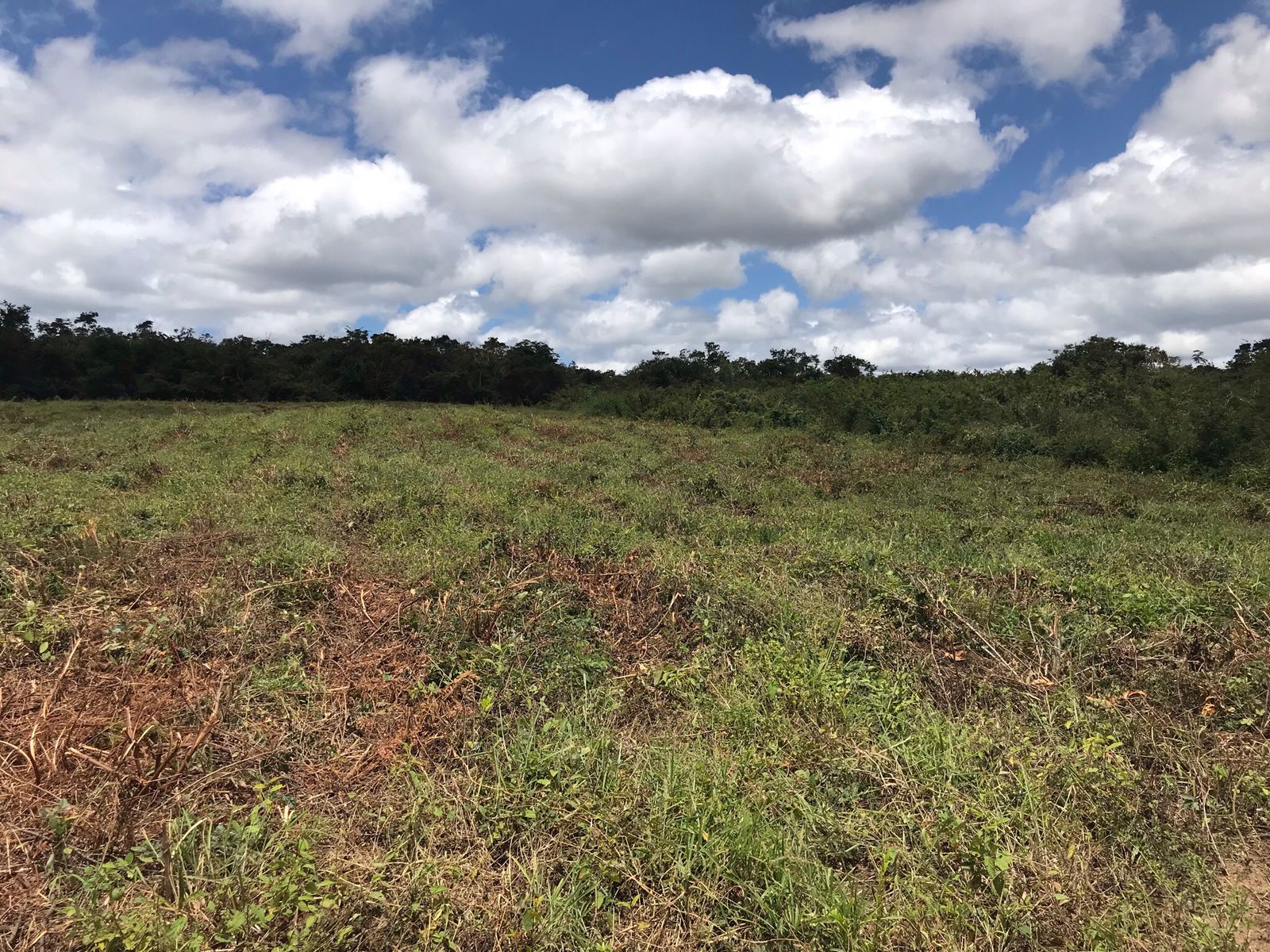 Chacará - Fazenda Argola