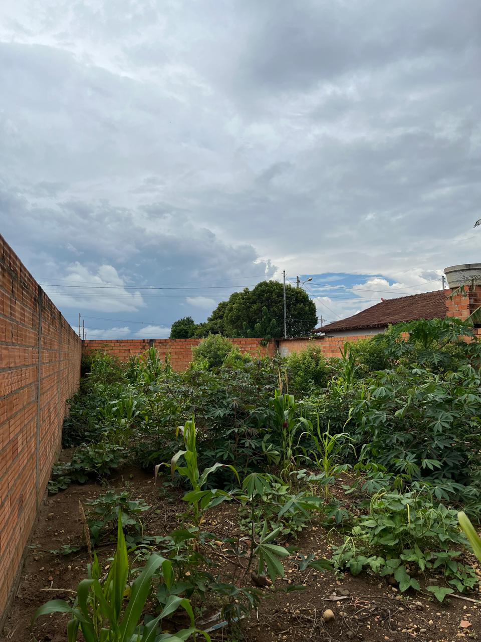 TERRENO - SÃO JOÃOZINHO