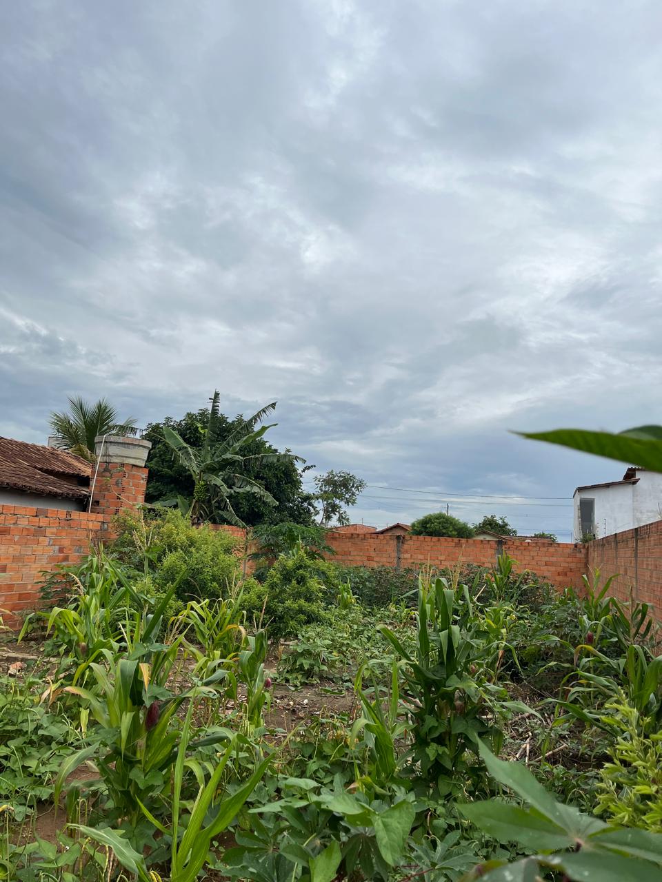 TERRENO - SÃO JOÃOZINHO