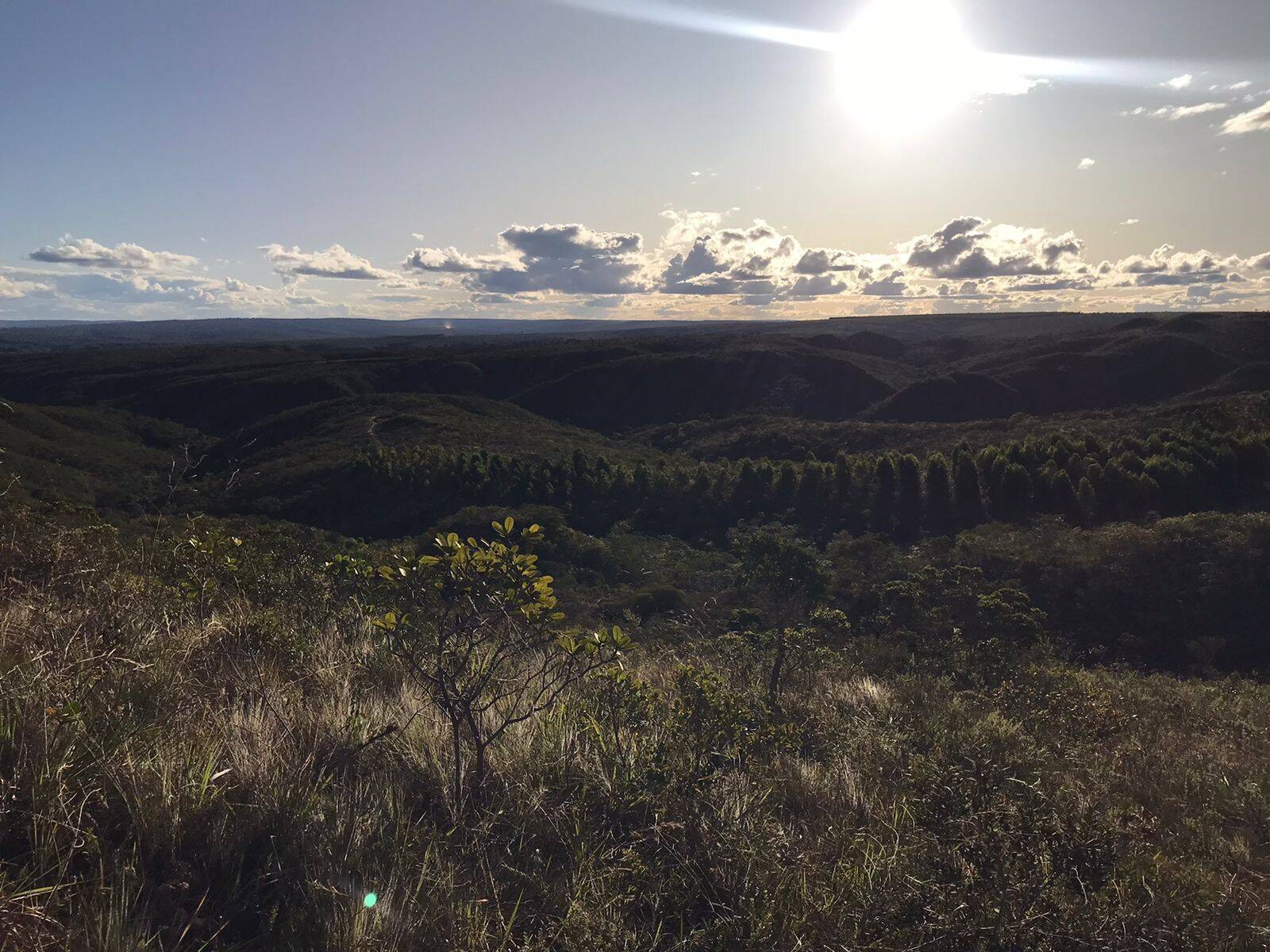 Sítio - Venda, Zona Rural, São João do Paraíso, MG