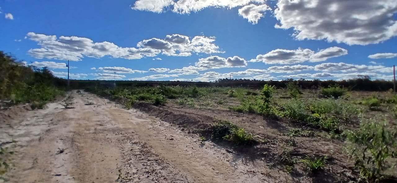 Alto Paraíso