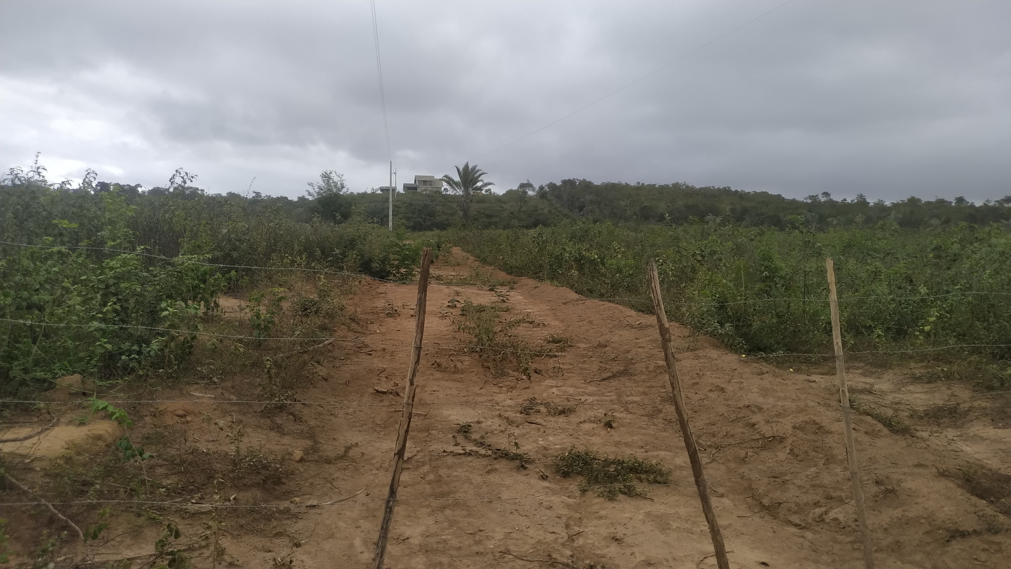 Terreno / Área - , São João do Paraíso, MG