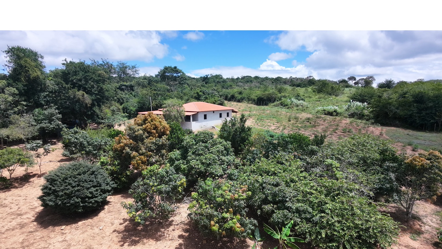 Sítio - Venda