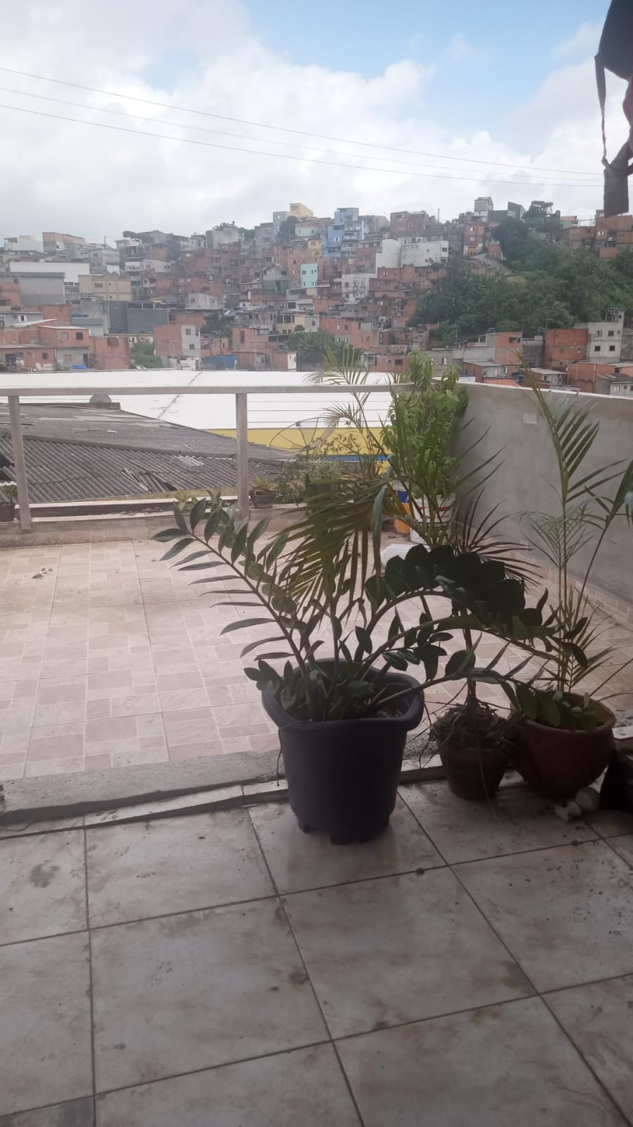 Profissional Imóvel Comercial no Jardim Rosa de Franca em Guarulhos SP