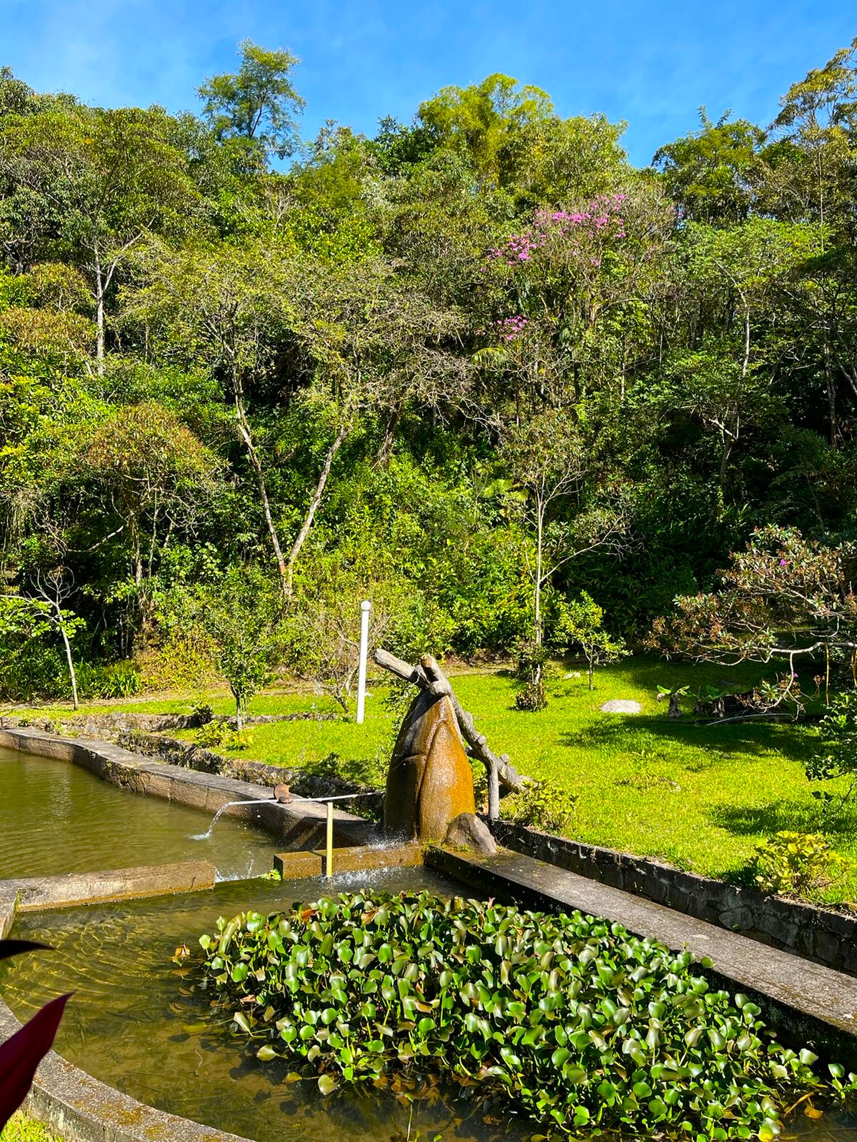 Sítio dos Sonhos em Castália - Cachoeiras de Macacu: Natureza, Lazer e Segurança