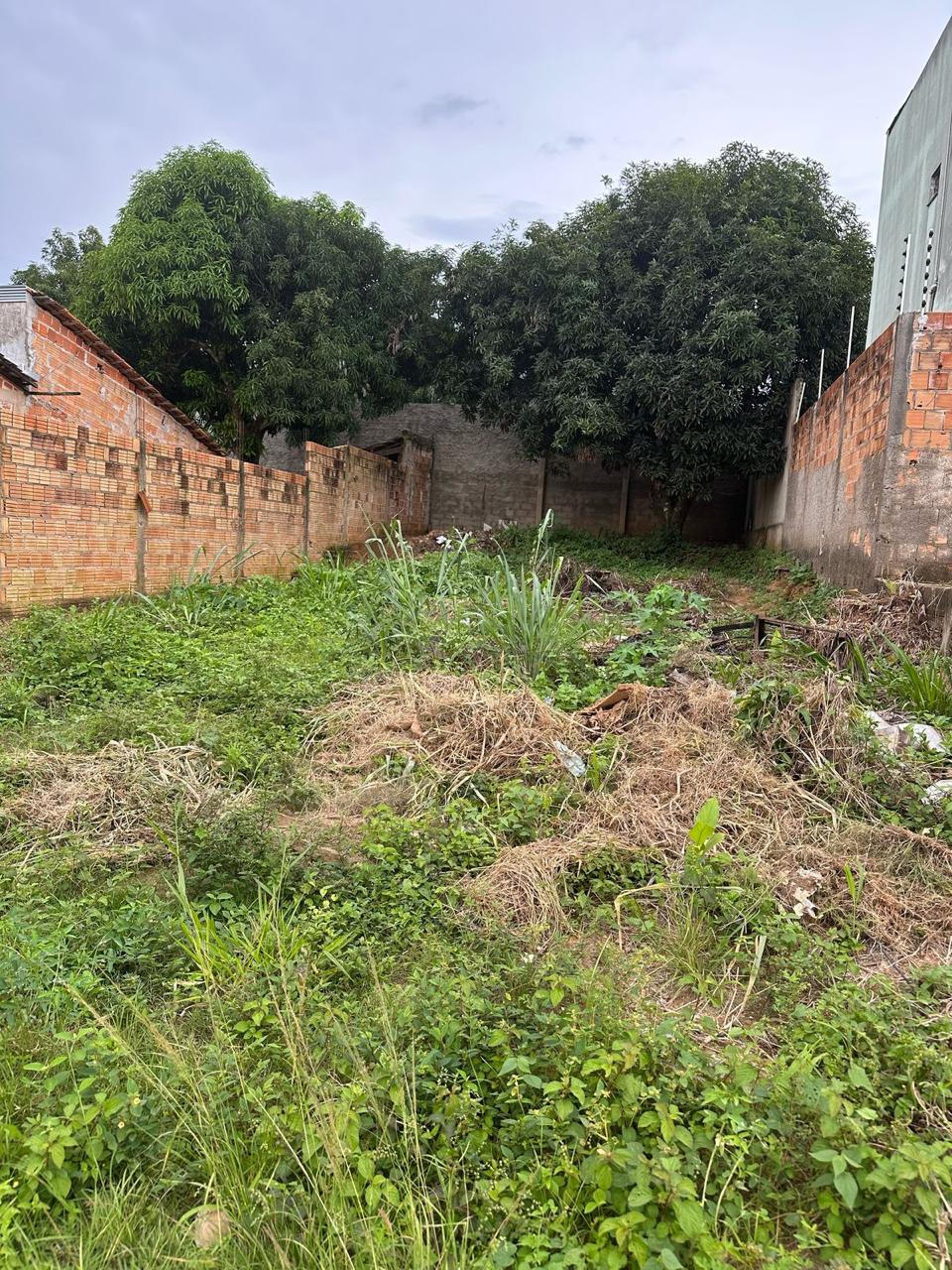 LOTE RUA:A1 AMAZONIA