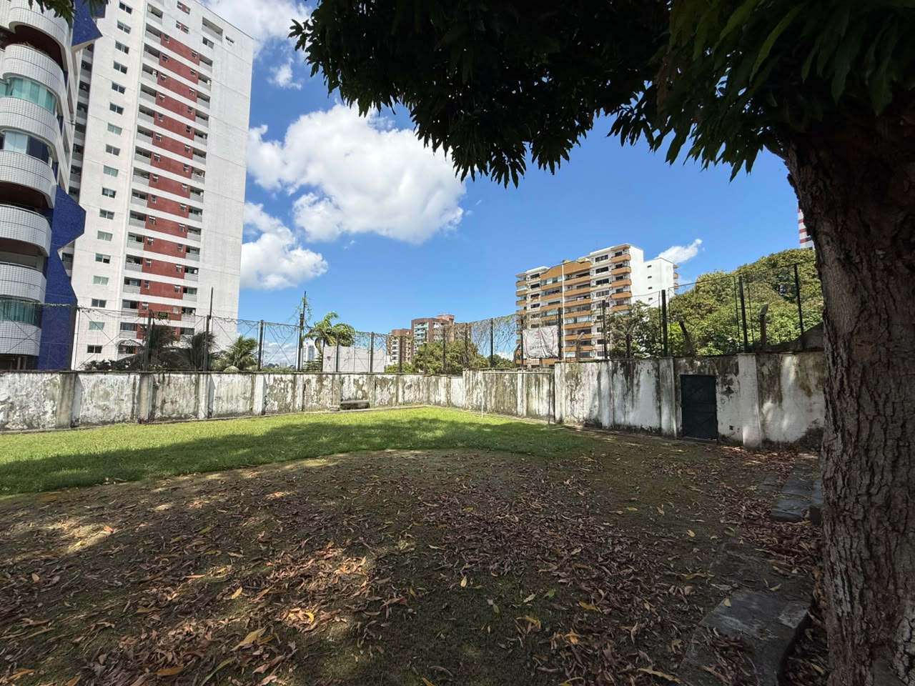 UMA ÁREA RARA NO PARQUE 10