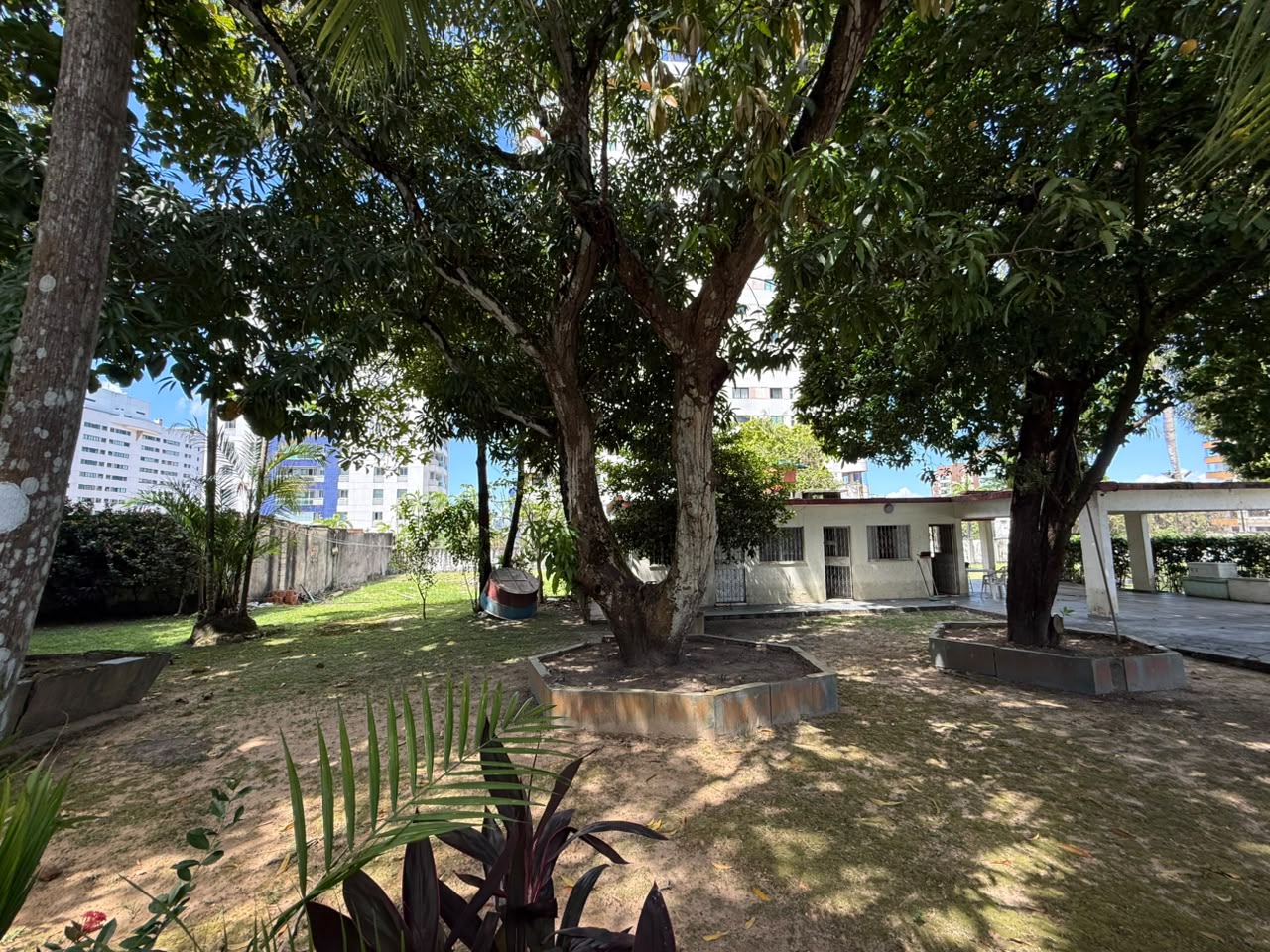 UMA ÁREA RARA NO PARQUE 10