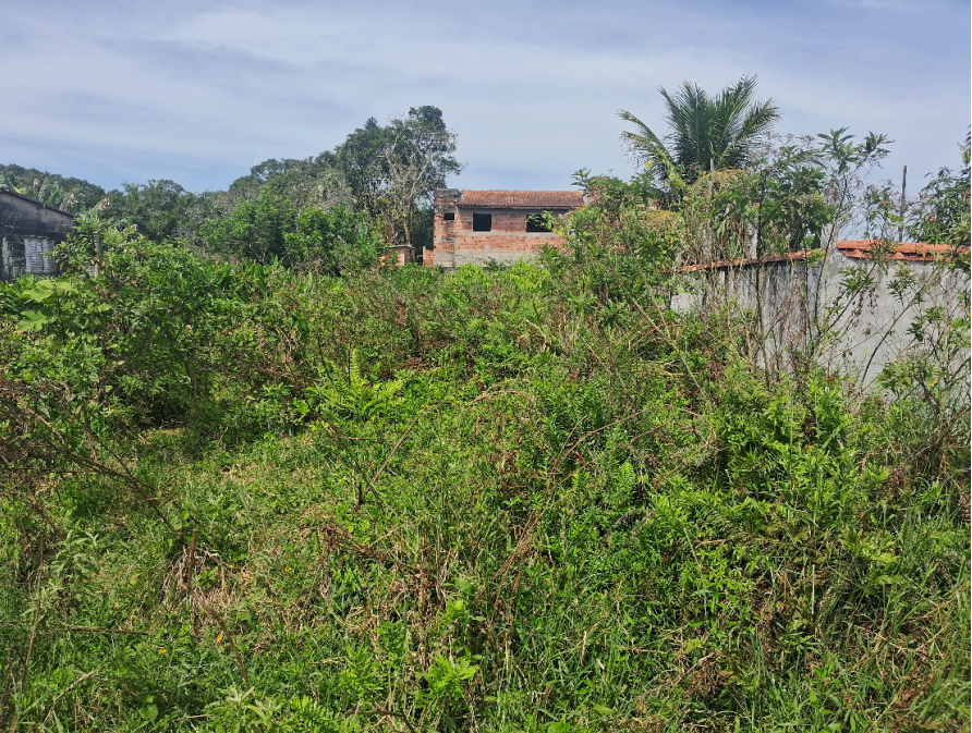 Casa - Venda