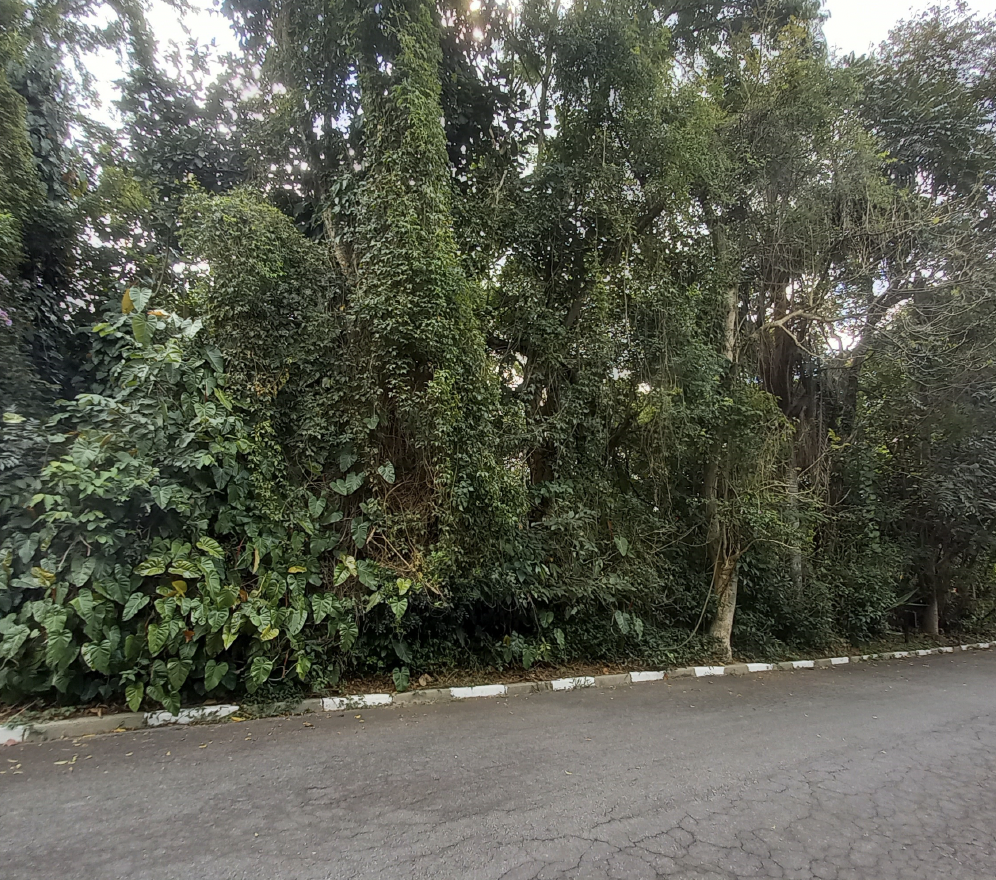 Área - Venda