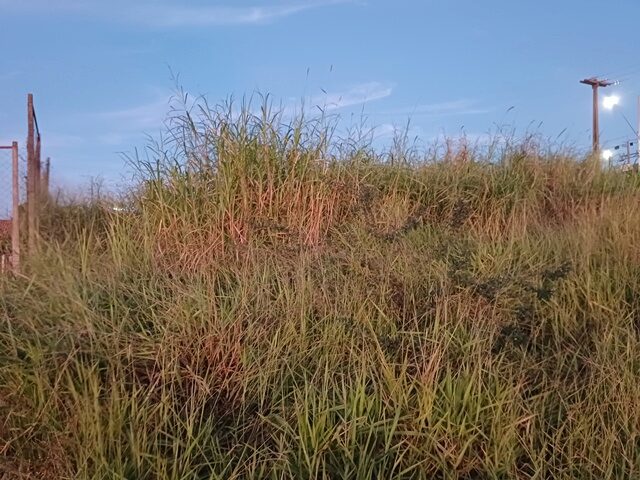 Chácara - Venda