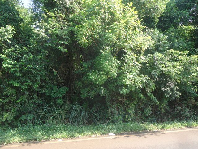 Chácara - Venda