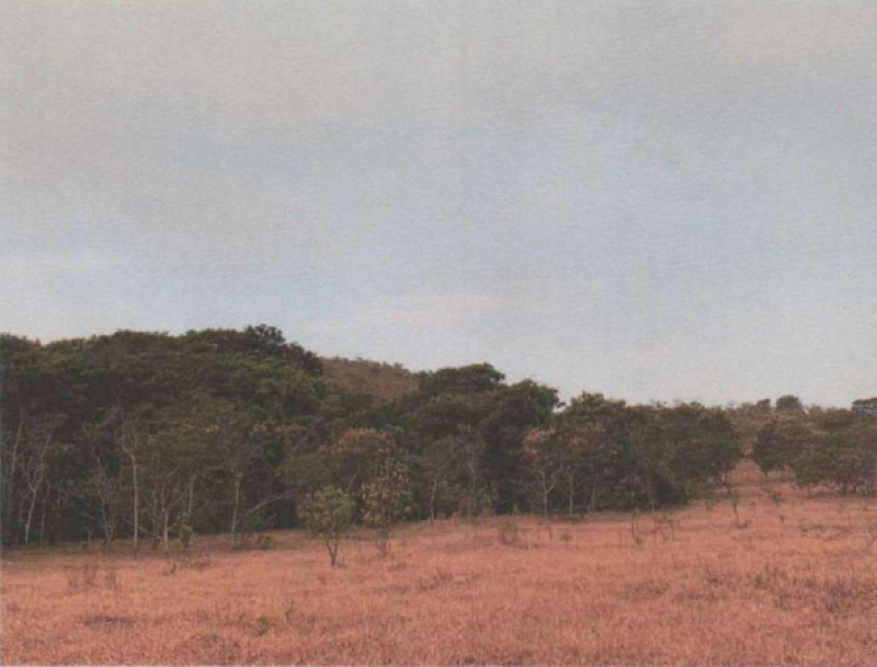 Chácara - Venda