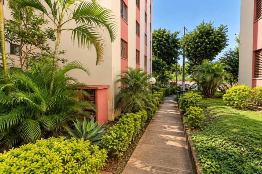 São paulo (sp)