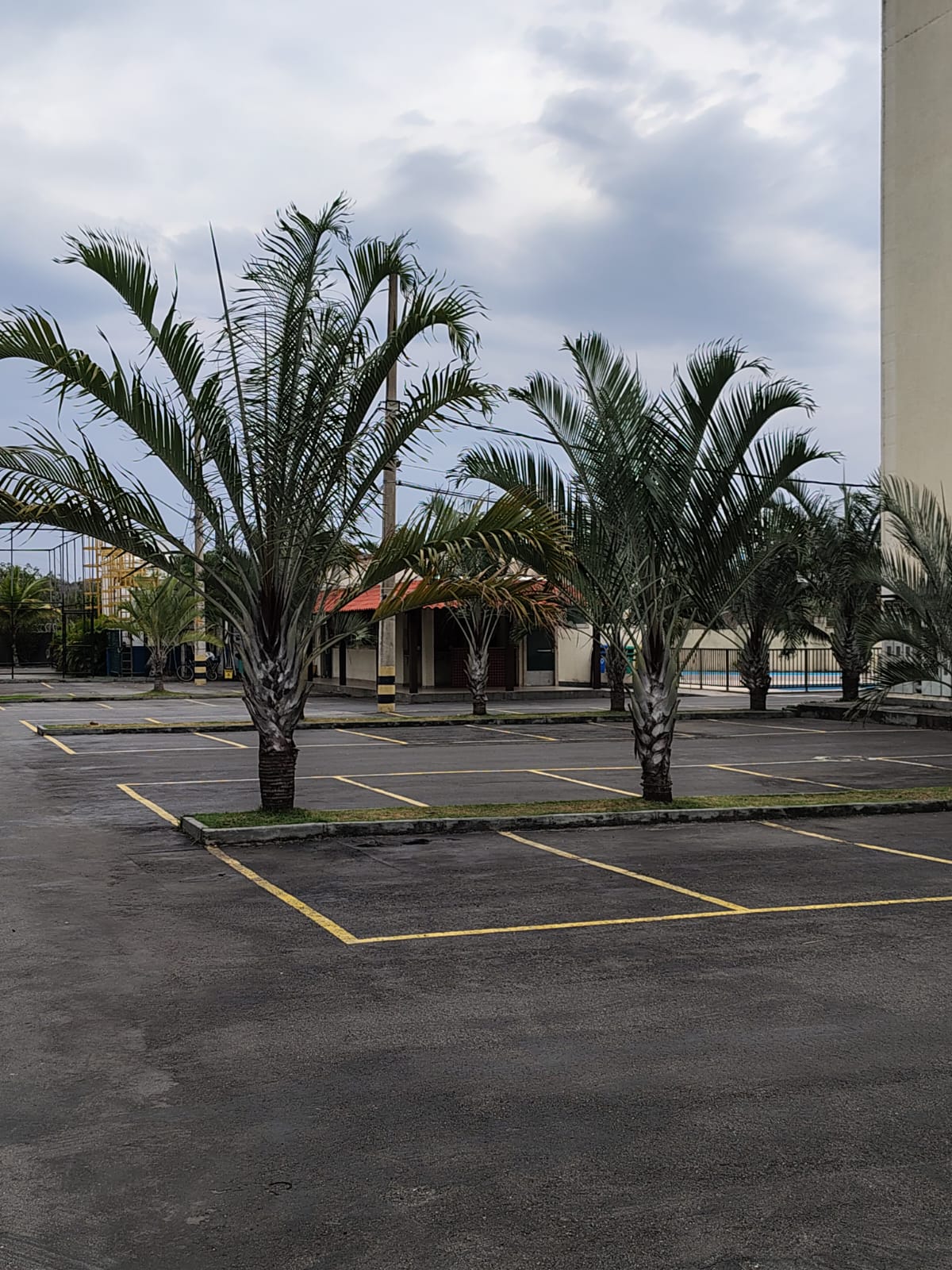 Apartamento, 2 quartos, 47 m² - Foto 9