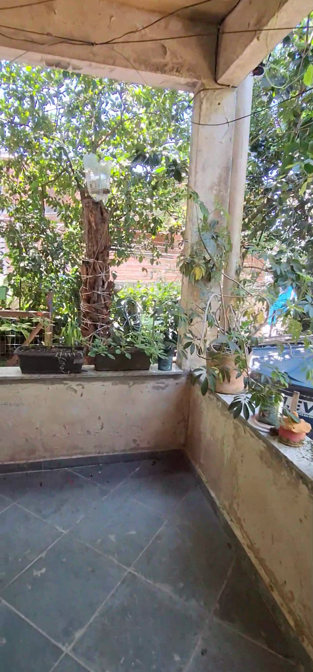 Casa, 6 quartos - Foto 3