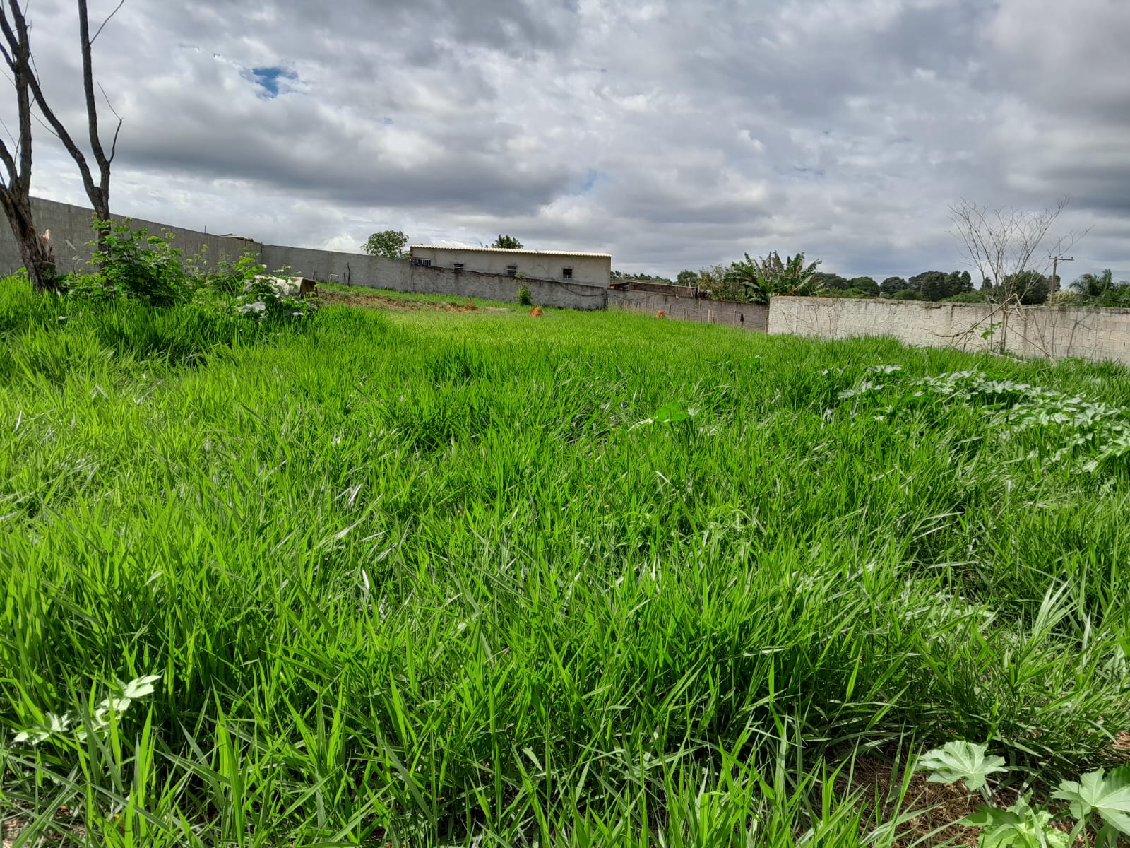 Terreno Rural no Boituville em Boituva