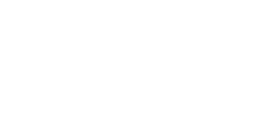 medinapaesimoveiscaixa.com.br favicon