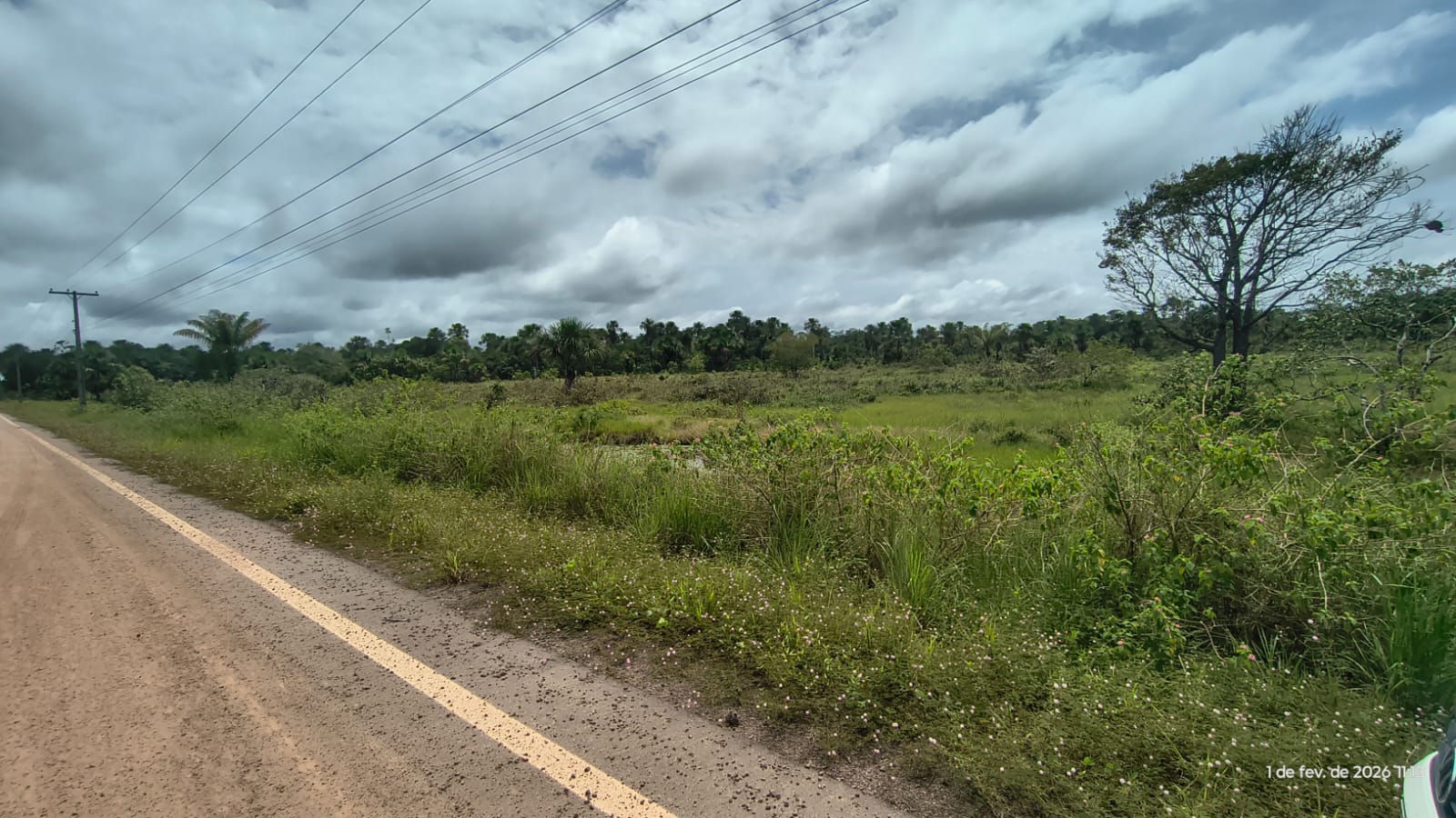 Fazenda Três Irmãos – Oportunidade no Careiro Castanho 