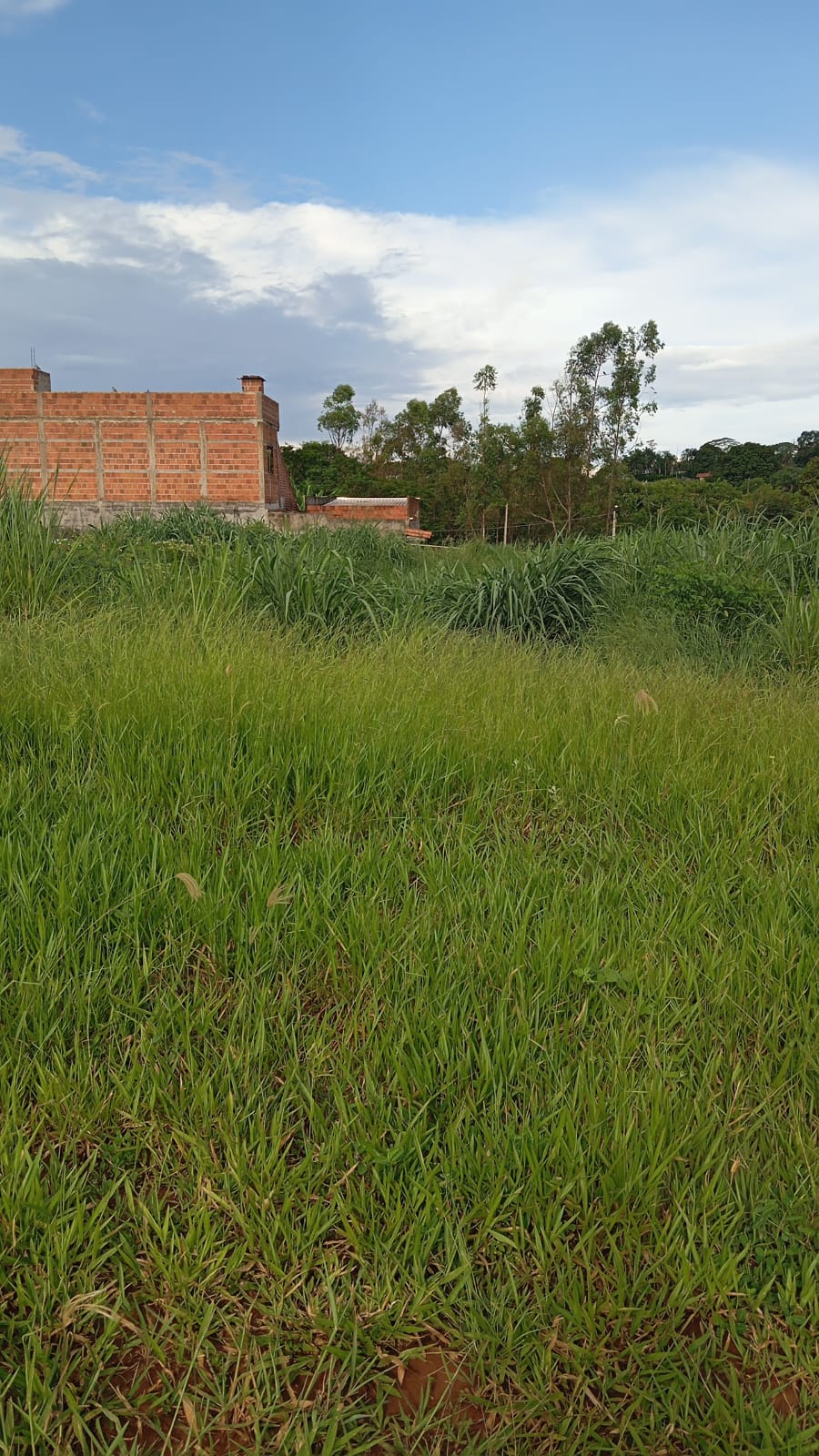 Chácara em Condomínio - Venda