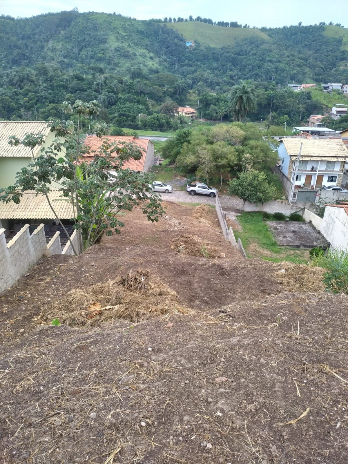 Charmosa Área no Parque Sucena  em Vassouras RJ