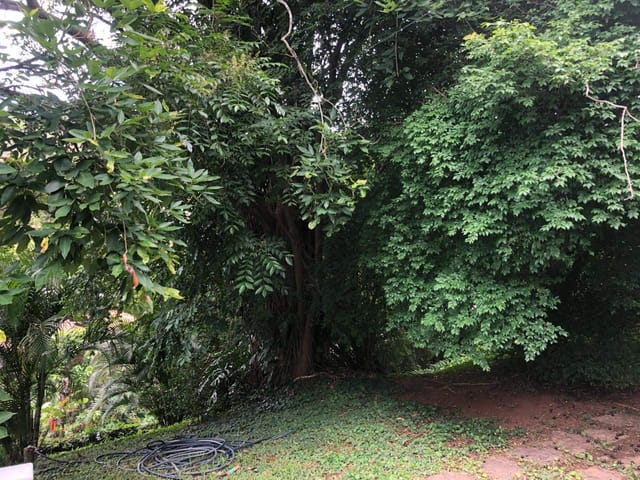 Linda Chácara no Mello Afonso em Vassouras RJ