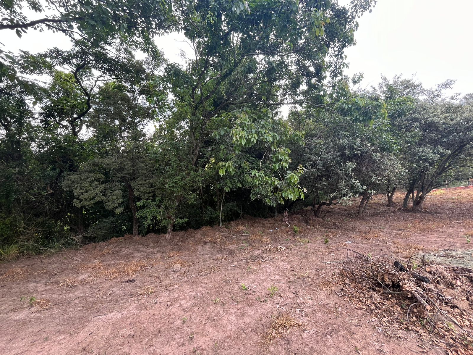 Terreno à Venda no Jardim Santa Adélia - Boituva - 3947 m²