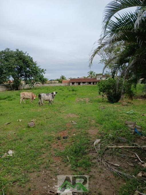 Área - Venda, Itaipuaçú, Maricá, RJ