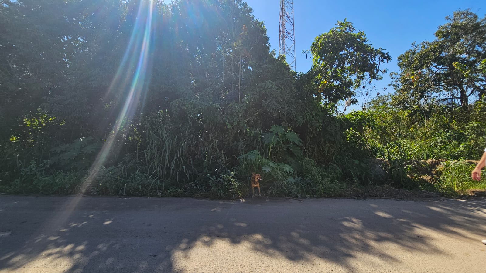 Lotes à Venda em Chácaras de Inoã – Itaipuaçu, Maricá/RJ