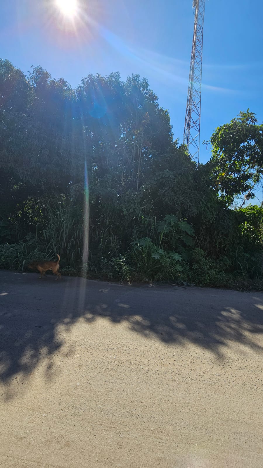 Lotes à Venda em Chácaras de Inoã – Itaipuaçu, Maricá/RJ