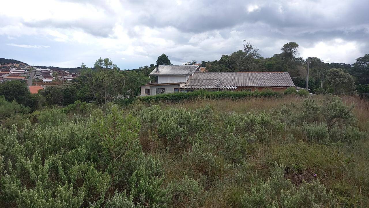 Terreno - Venda