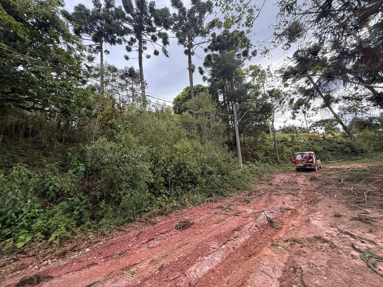 Terreno à Venda –  Campos do Jordão